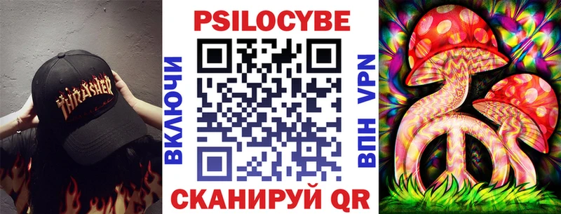 мега tor Таштагол Галлюциногенные грибы Psilocybine cubensis наркошоп
