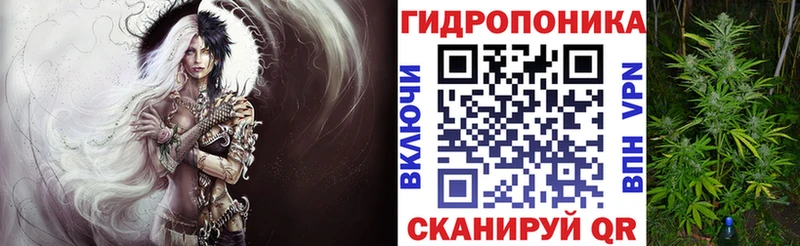 Каннабис семена  это состав  Таштагол  дарнет шоп 